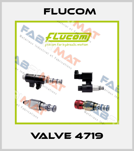 valve 4719 Flucom