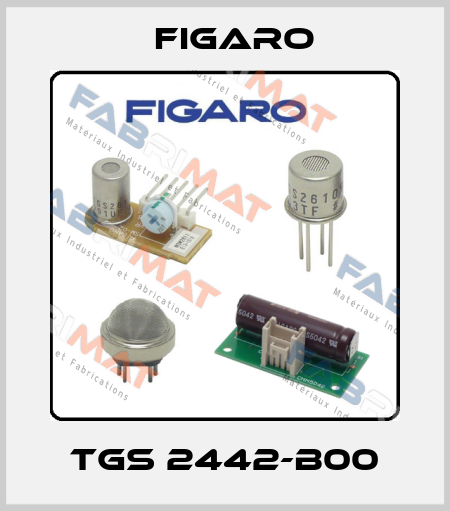 TGS 2442-B00 Figaro