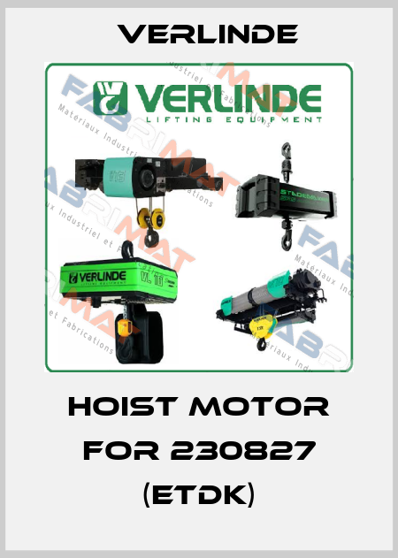 Hoist motor for 230827 (ETDK) Verlinde