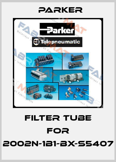 filter tube for 2002N-1B1-BX-S5407 Parker