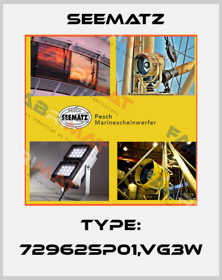 Type: 72962SP01,VG3W Seematz