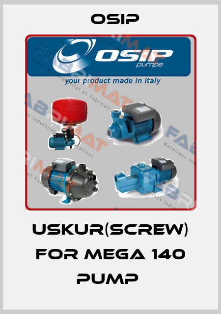 USKUR(SCREW) FOR MEGA 140 PUMP  Osip