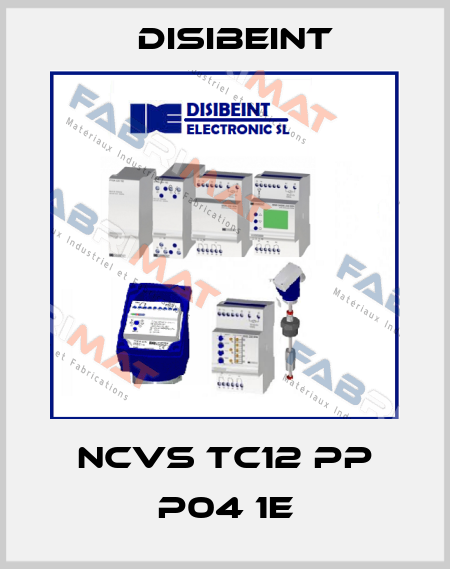 NCVS TC12 PP P04 1E Disibeint