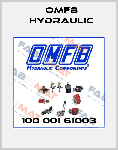 100 001 61003 OMFB Hydraulic