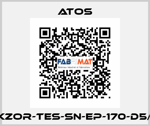 DKZOR-TES-SN-EP-170-D5/FI Atos