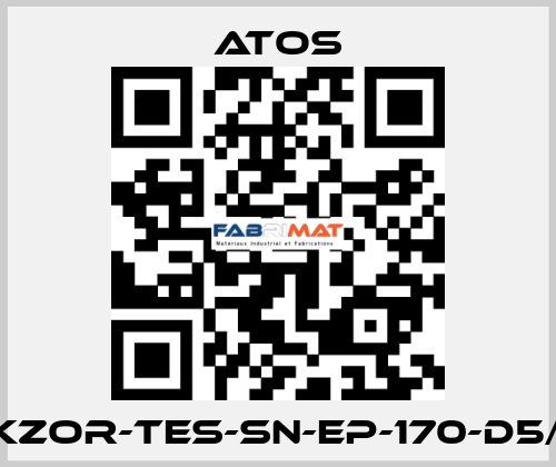 DKZOR-TES-SN-EP-170-D5/FI Atos