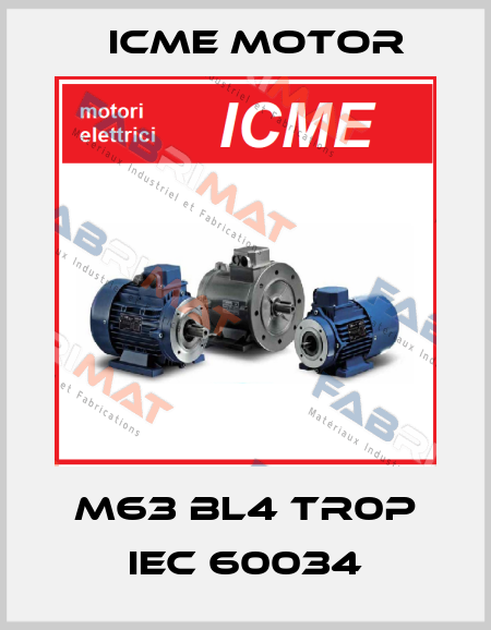 M63 BL4 TR0P IEC 60034 Icme Motor