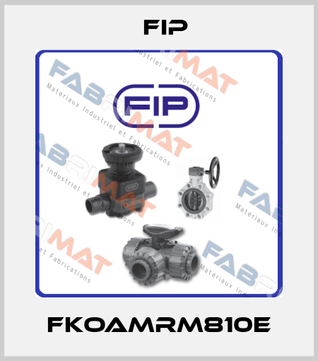 FKOAMRM810E Fip