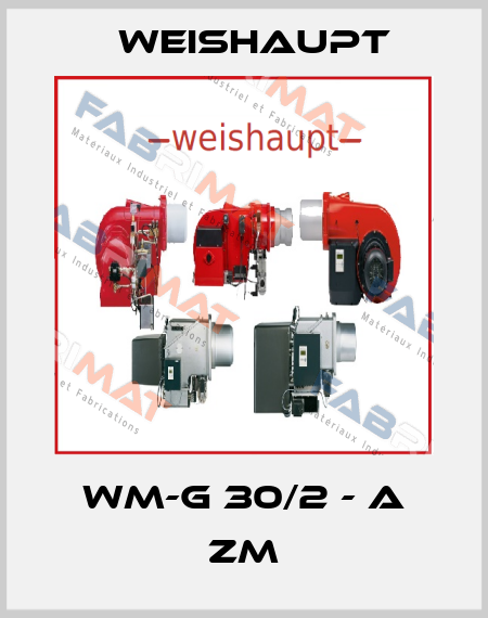 WM-G 30/2 - A ZM Weishaupt