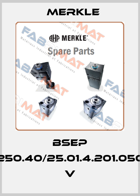 BSEP 250.40/25.01.4.201.050 V Merkle