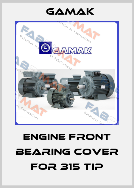 engine front bearing cover for 315 tip Gamak