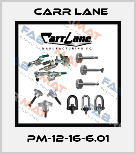 PM-12-16-6.01 Carr Lane