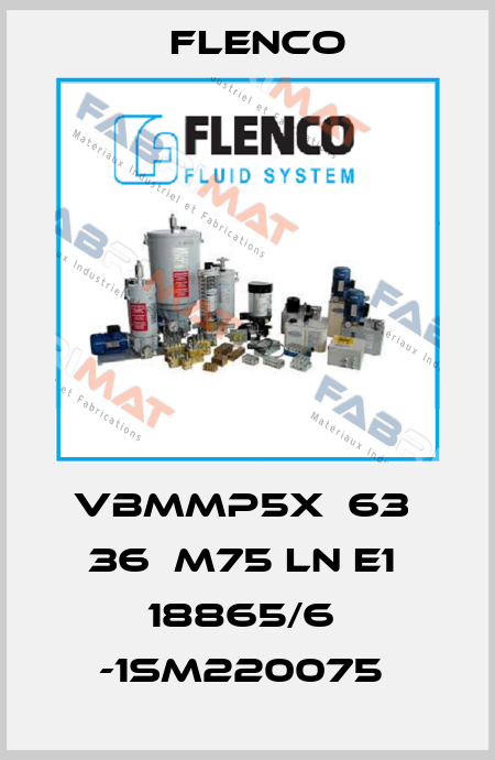 VBMMP5X  63  36  M75 LN E1  18865/6  -1SM220075  Flenco