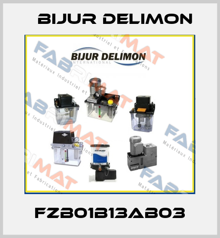 FZB01B13AB03 Bijur Delimon