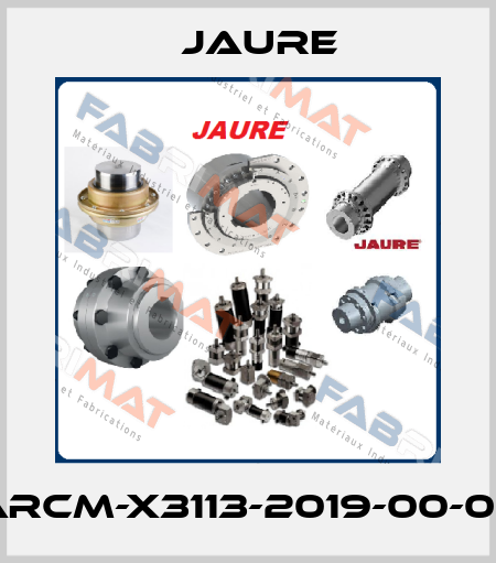 ARCM-X3113-2019-00-02 Jaure