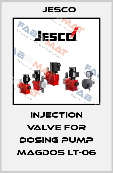 Injection valve for dosing pump Magdos LT-06 Jesco