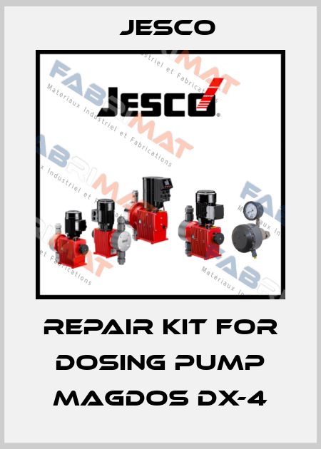 Repair kit for dosing pump Magdos DX-4 Jesco
