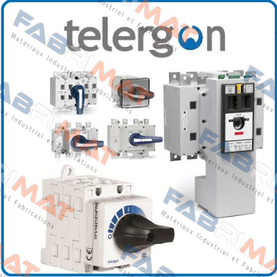 S6-04002ed0 Telergon