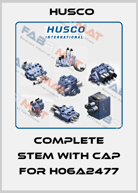 Complete stem with cap for H06A2477 Husco