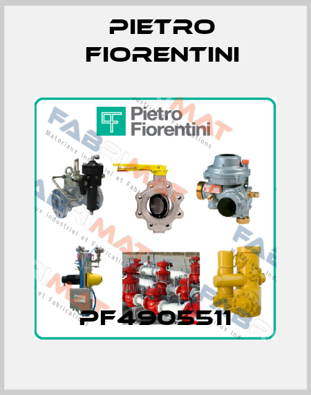 PF4905511 Pietro Fiorentini