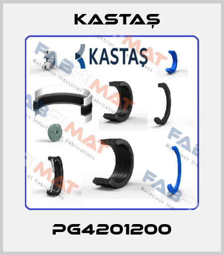 PG4201200 Kastaş