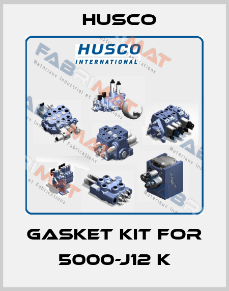 Gasket kit for 5000-J12 K Husco