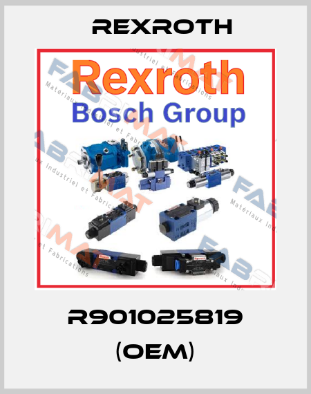 R901025819 (OEM) Rexroth
