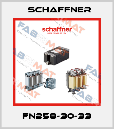 FN258-30-33 Schaffner