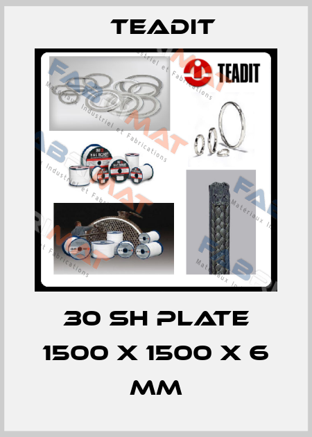 30 SH plate 1500 x 1500 x 6 mm Teadit