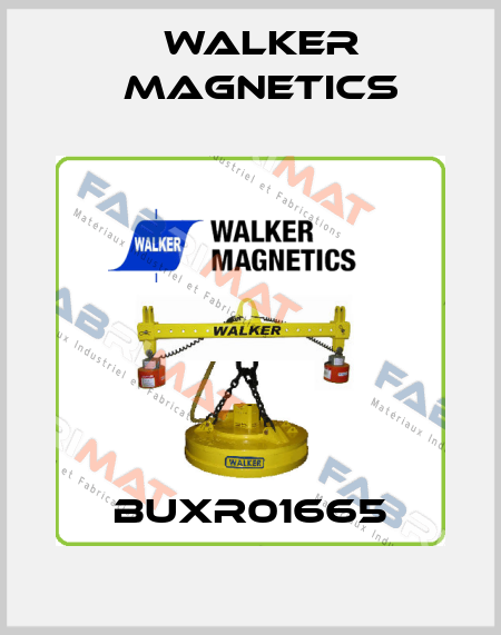 BUXR01665 Walker Magnetics