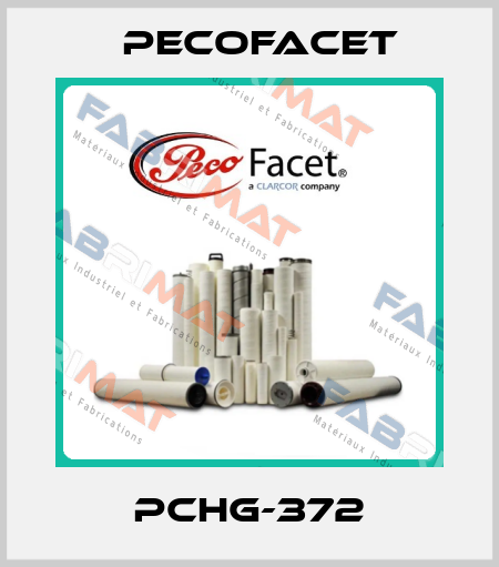 PCHG-372 PECOFacet