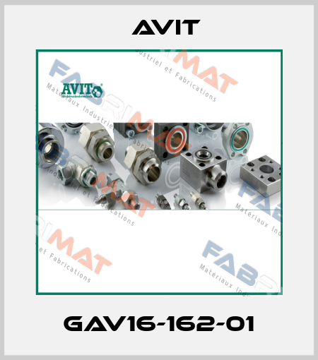 GAV16-162-01 Avit