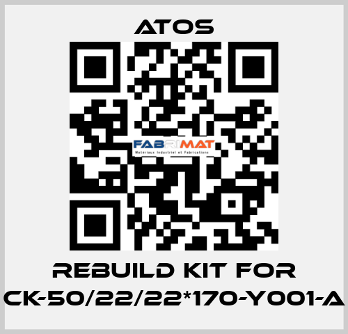 rebuild kit for CK-50/22/22*170-Y001-A Atos
