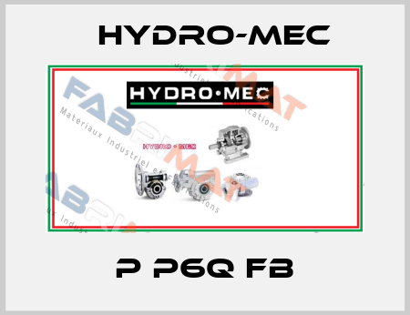 P P6Q FB Hydro-Mec