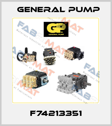 F74213351 General Pump