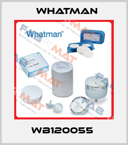 WB120055  Whatman