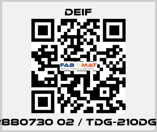 2962880730 02 / TDG-210DG/2 DC Deif
