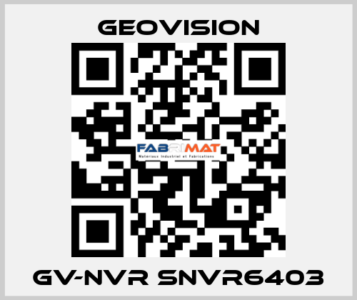 GV-NVR SNVR6403 GeoVision