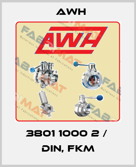 3801 1000 2 /  DIN, FKM Awh