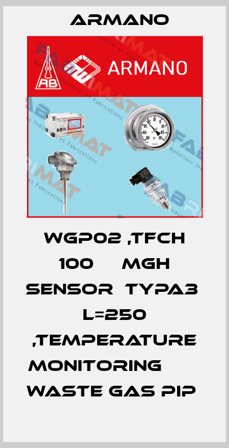 WGP02 ,TFCH 100     MGH SENSOR  TYPA3  L=250 ,TEMPERATURE MONITORING                   WASTE GAS PIP  ARMANO