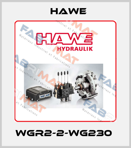 WGR2-2-WG230  Hawe