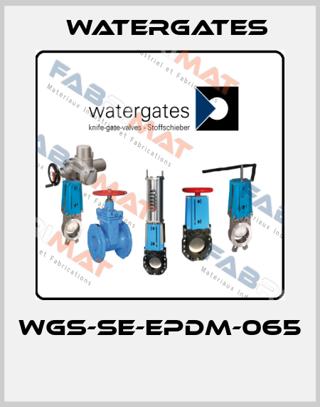 WGS-SE-EPDM-065  Watergates