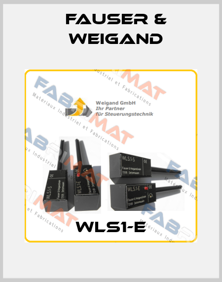 WLS1-E Fauser & Weigand