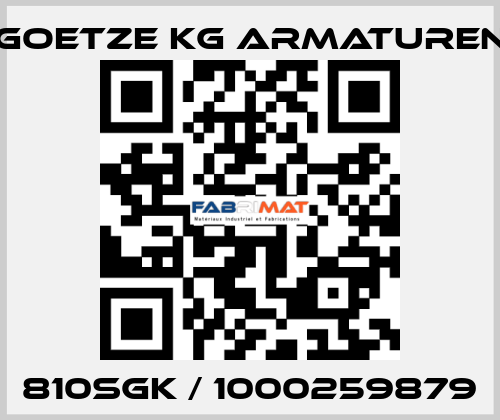 810SGK / 1000259879 Goetze KG Armaturen