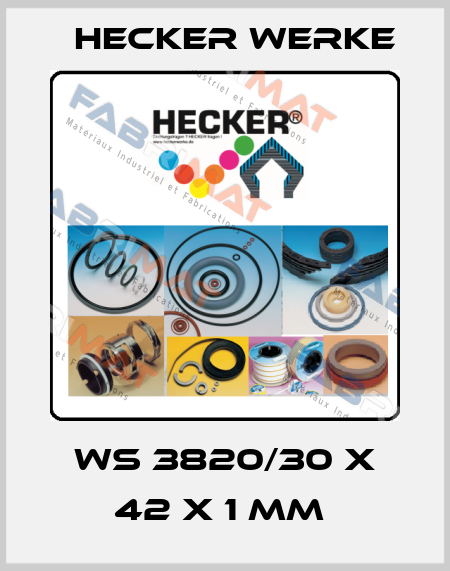 WS 3820/30 X 42 X 1 MM  Hecker Werke