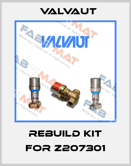 Rebuild kit for Z207301 Valvaut