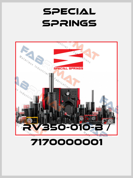 RV350-010-B / 7170000001 Special Springs