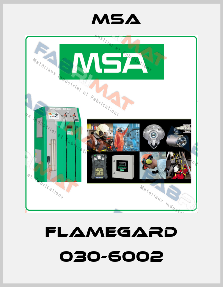 FlameGard 030-6002 Msa