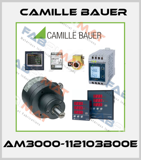 AM3000-112103B00E Camille Bauer