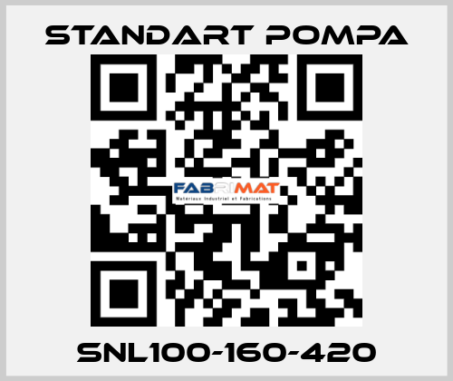 SNL100-160-420 STANDART POMPA